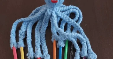 DIY – Organizador de Lápis Polvo